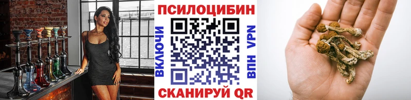 наркошоп  Можга  Галлюциногенные грибы мицелий 